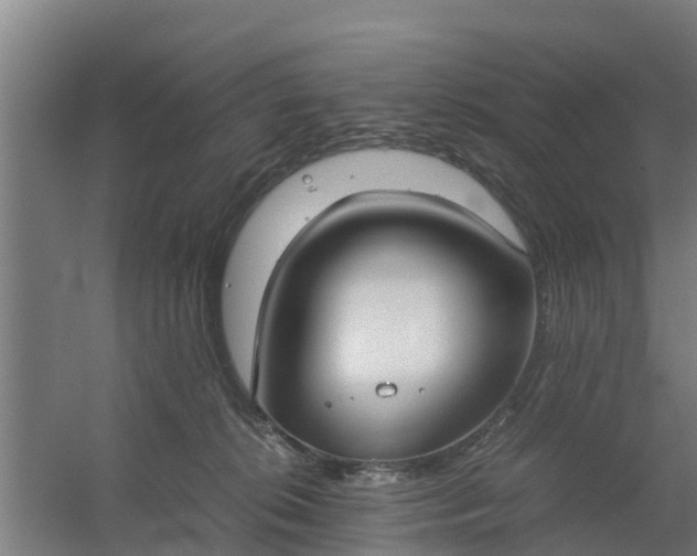 X0000059810276200511041701