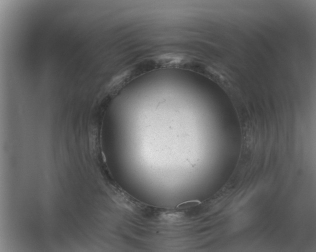 X0000059810283200511041701