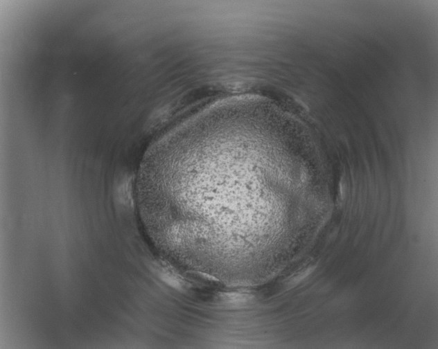 X0000059810286200511041701