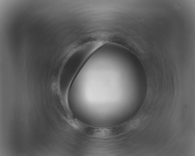 X0000059810288200511041701