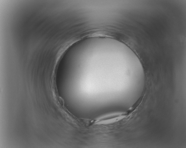 X0000059810289200511041701