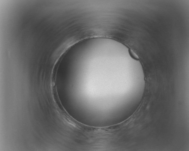 X0000059810290200511041701