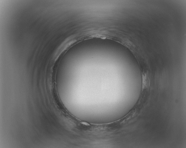 X0000059810291200511041701