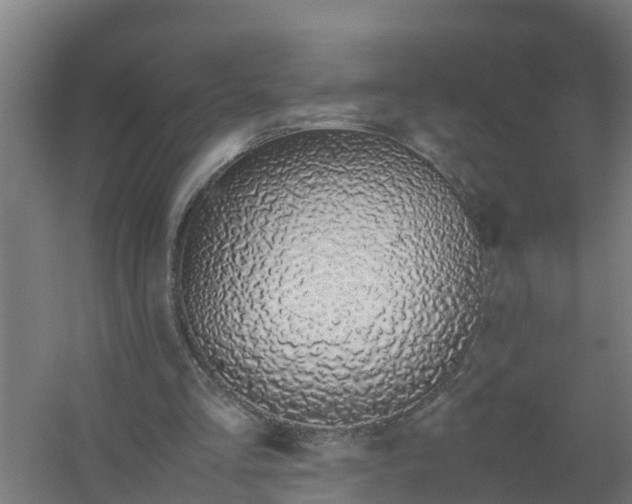 X0000059810293200511041701