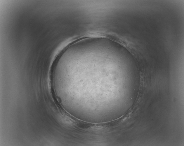 X0000059810294200511041701