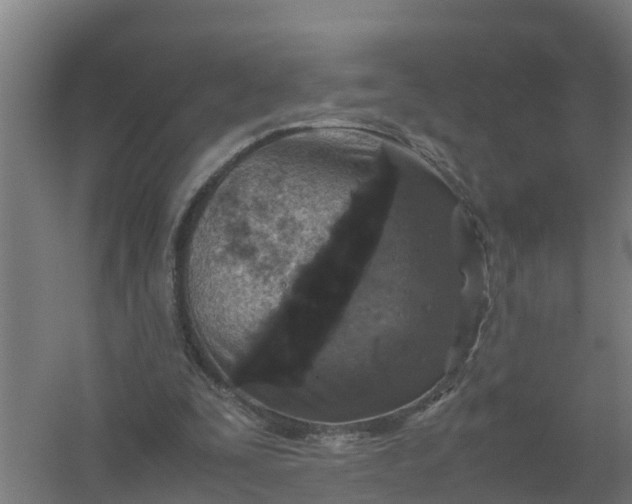 X0000059810295200511041700