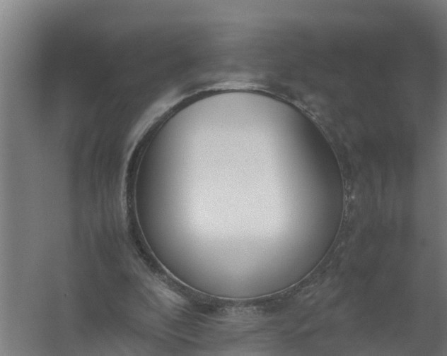 X0000059810296200511041700