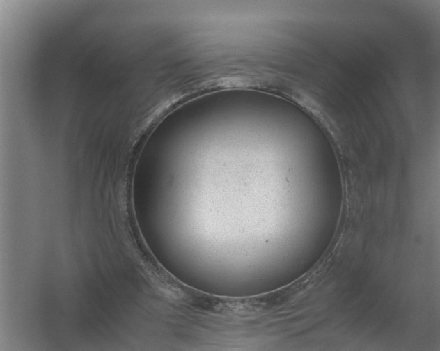 X0000059810297200511041700