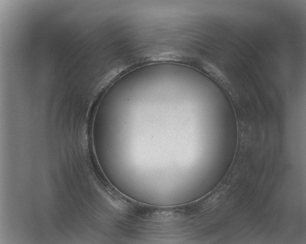 X0000059810298200511041700