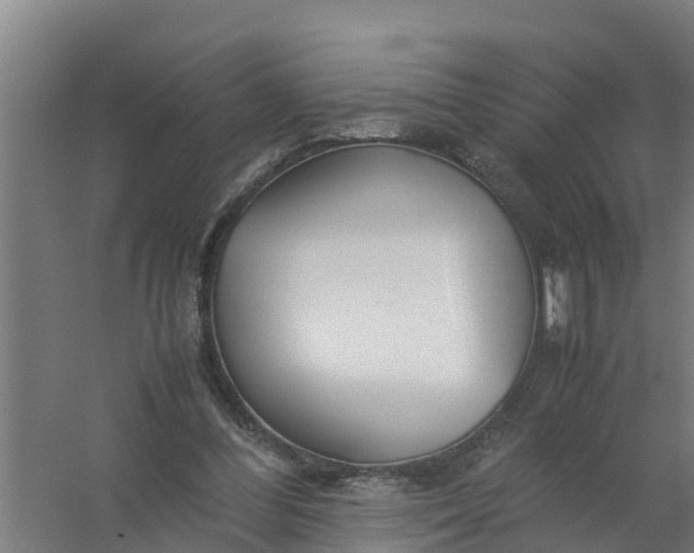 X0000059810300200511041700