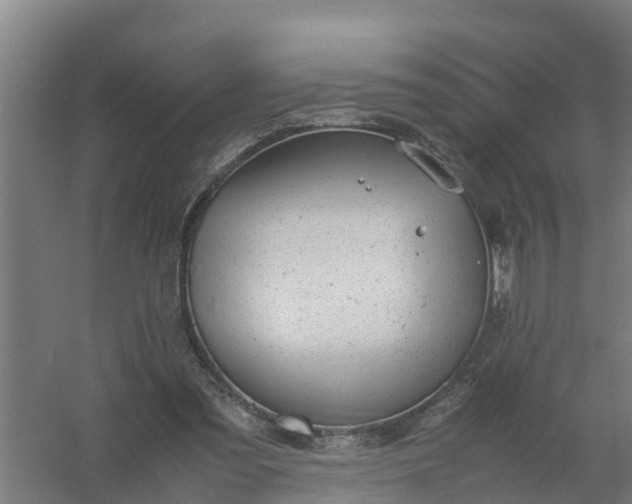 X0000059810301200511041700