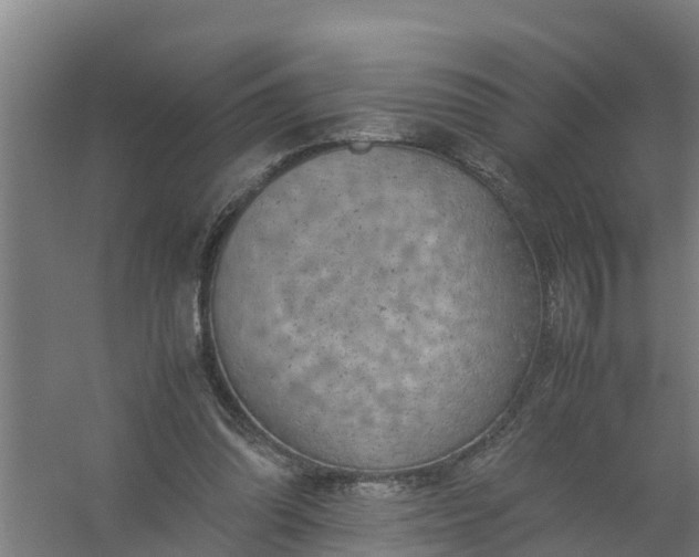 X0000059810302200511041700