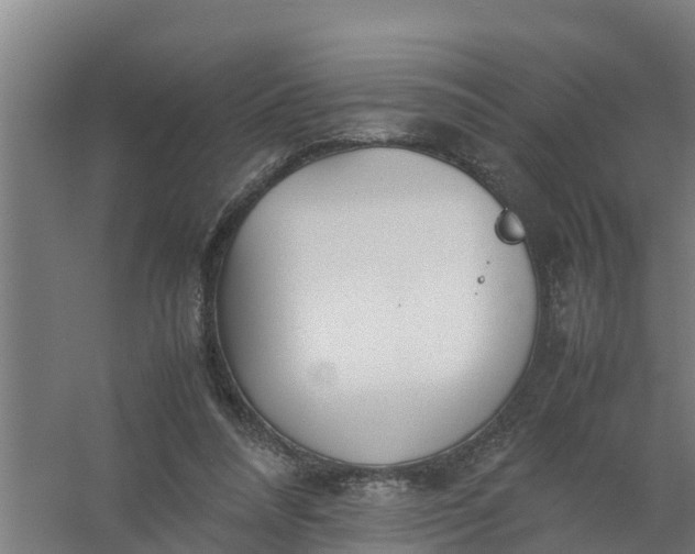 X0000059810304200511041700