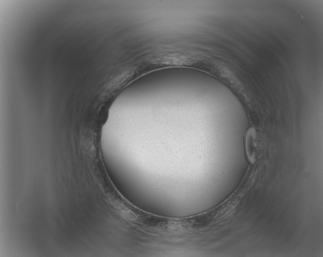 X0000059810305200511041700