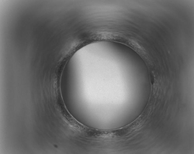 X0000059810306200511041700