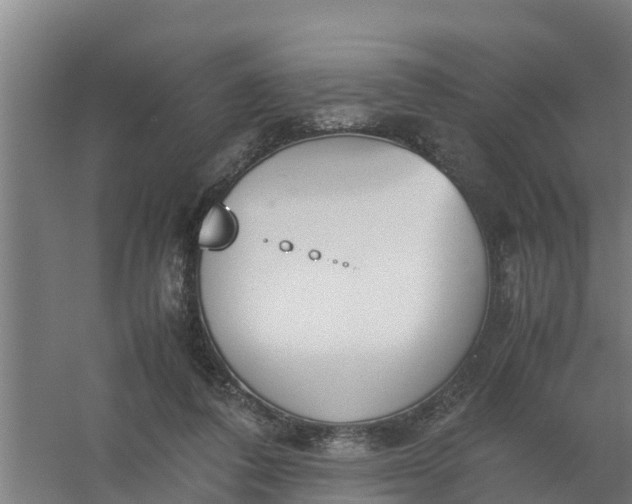 X0000059810308200511041700