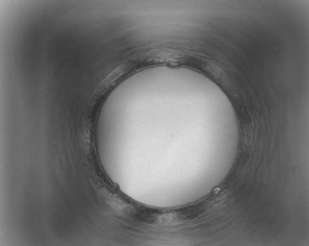 X0000059810309200511041700