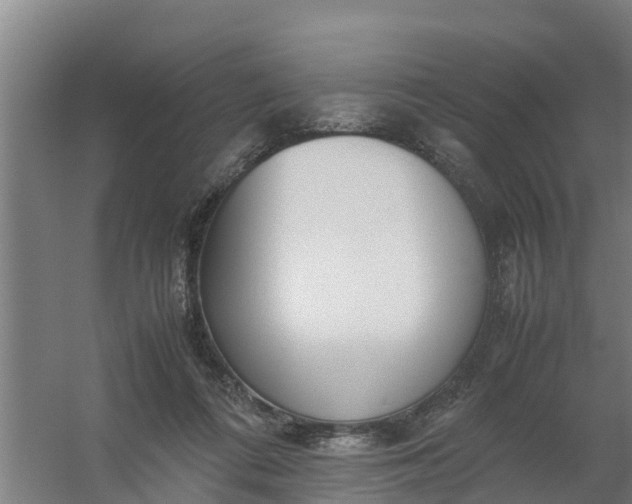 X0000059810312200511041700