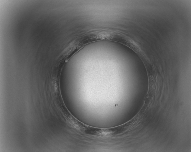 X0000059810313200511041700