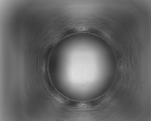 X0000059810315200511041700