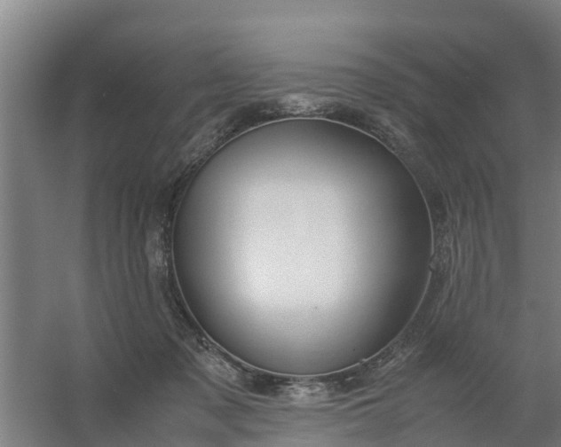 X0000059810317200511041700