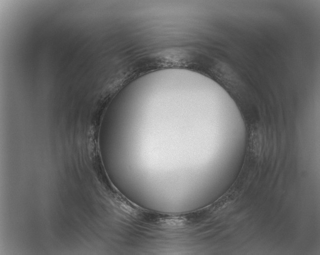 X0000059810318200511041700