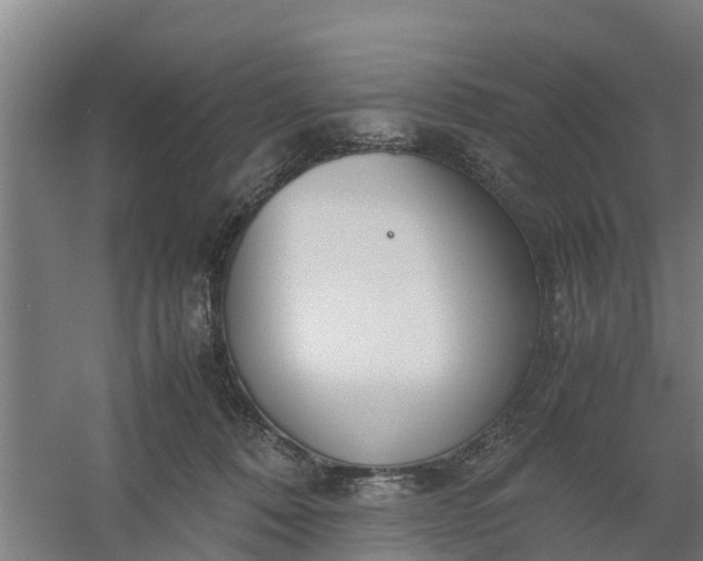 X0000059810320200511041700