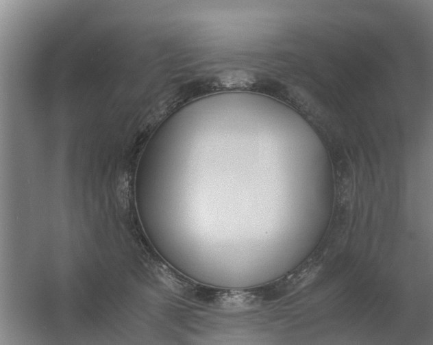 X0000059810321200511041700