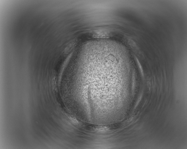 X0000059810322200511041700