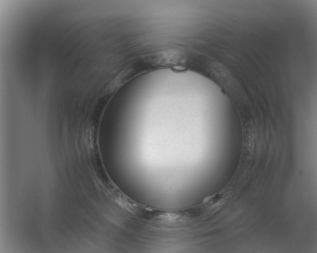 X0000059810326200511041700