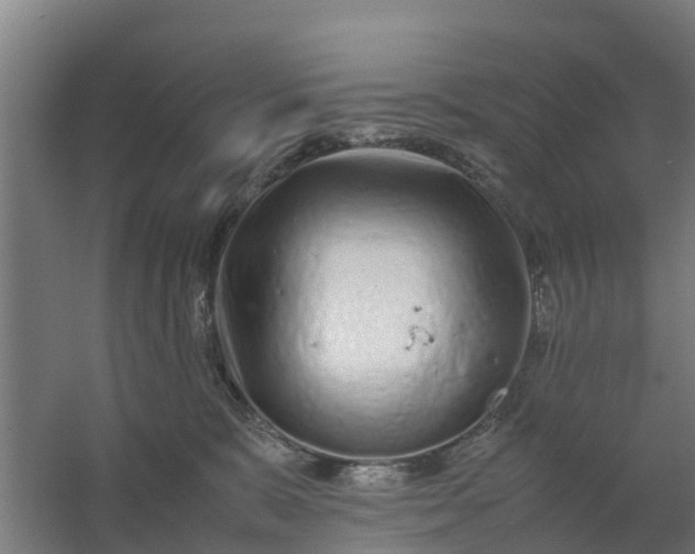 X0000059810327200511041700