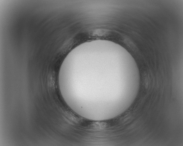 X0000059810328200511041700