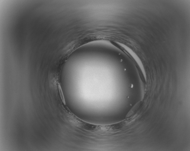 X0000059810329200511041700