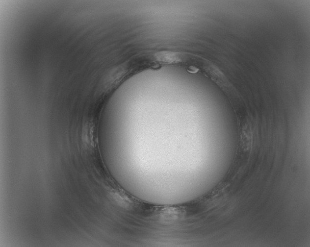 X0000059810330200511041700