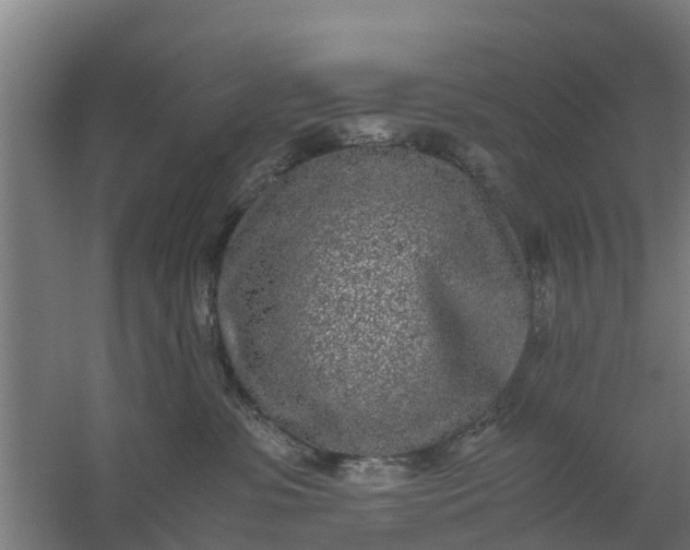 X0000059810331200511041700