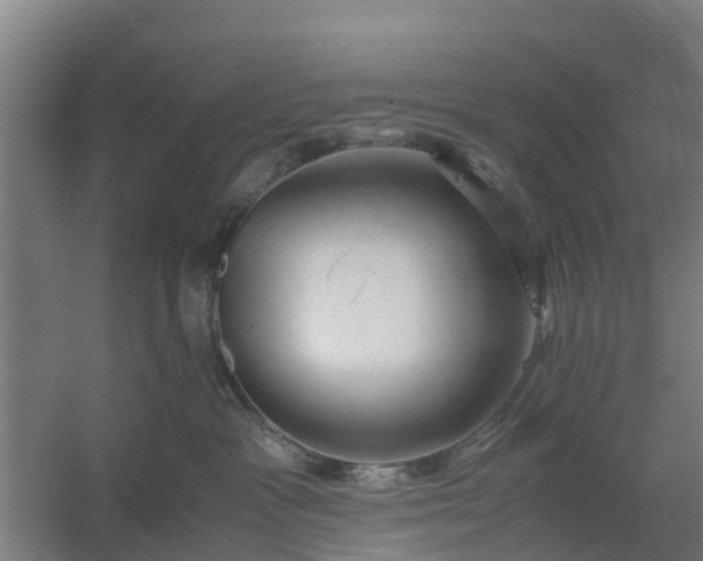 X0000059810333200511041700