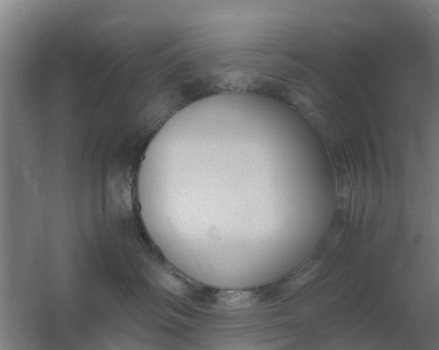 X0000059810334200511041700