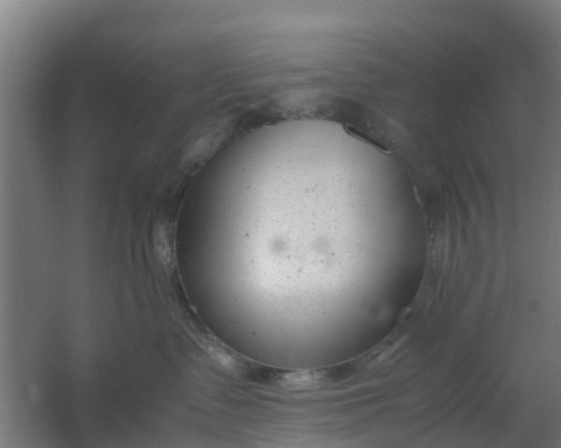 X0000059810335200511041700