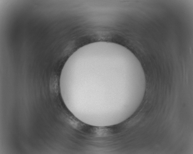 X0000059810336200511041700