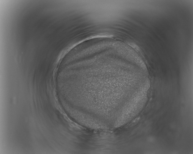 X0000059810337200511041659