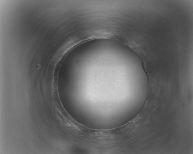 X0000059810338200511041659