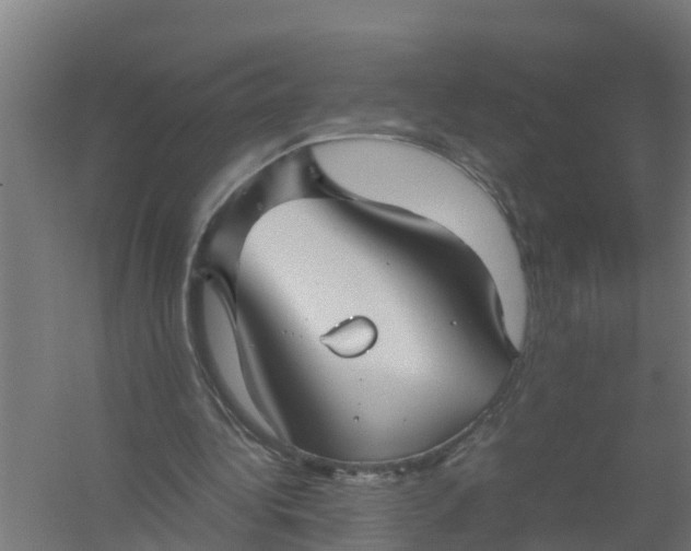 X0000059810340200511041659