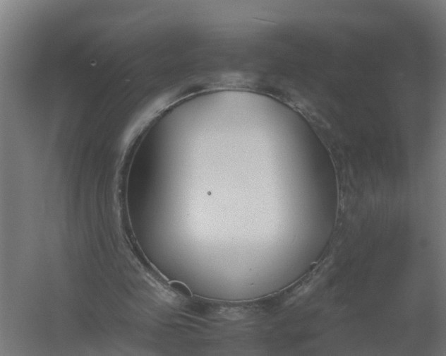 X0000059810341200511041659