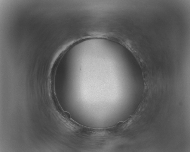 X0000059810342200511041659