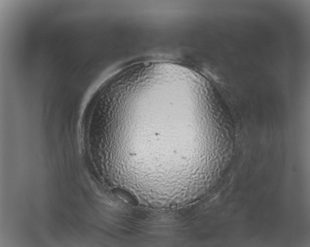 X0000059810343200511041659