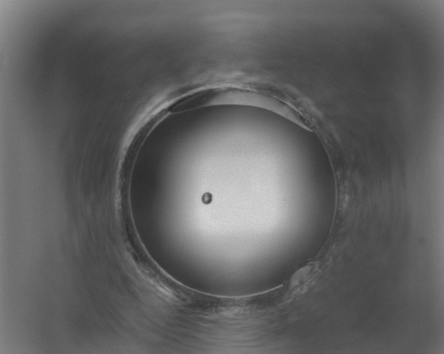 X0000059810344200511041659