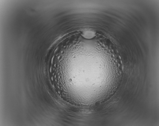 X0000059810347200511041659