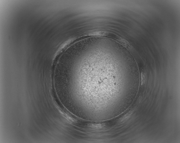 X0000059810349200511041659