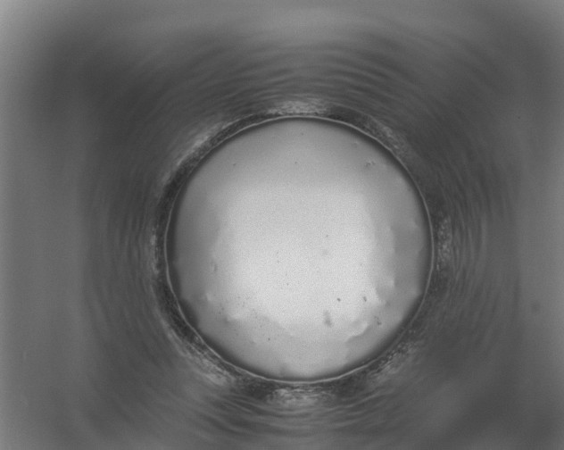 X0000059810351200511041659