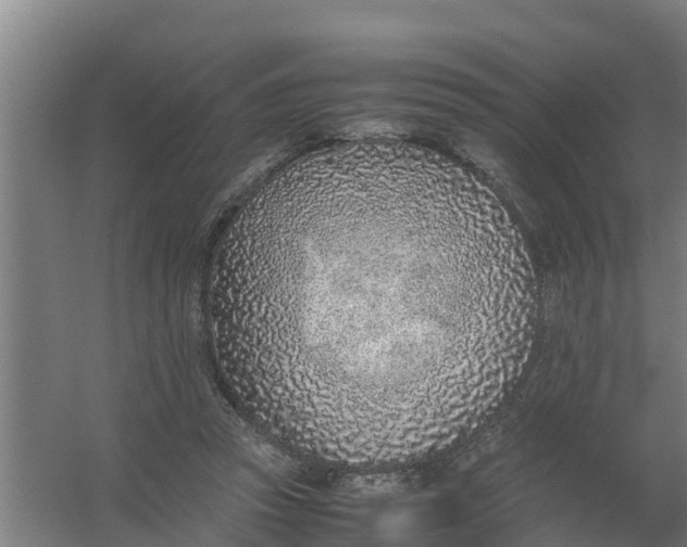 X0000059810353200511041659